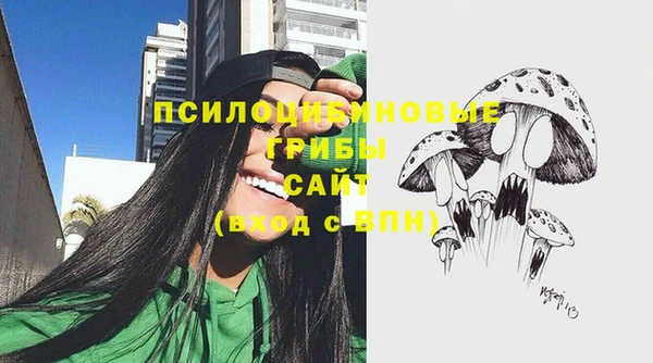 ECSTASY Алексин