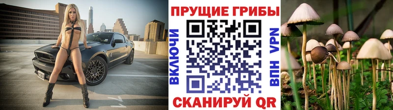 Псилоцибиновые грибы Psilocybine cubensis Ивангород