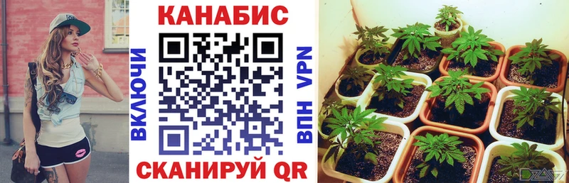 OMG ссылка  Ивангород  Канабис индика  площадка состав  наркошоп 
